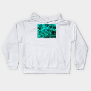 fish in the coral reef Kids Hoodie